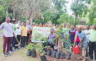 पिंपरी चिंचवड महापालिका उद्यान विभाग व वृक्ष संवर्धन विभागा च्या वतीने साई गार्डन येथे मोठ्या उत्साहात वृक्ष लागवड साजरी .